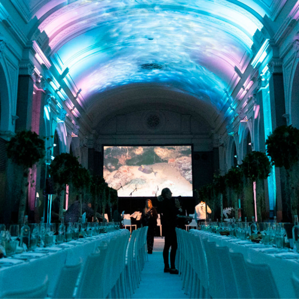 Banner Aquarium